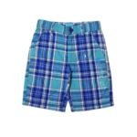 The Children's Place Blue & Green Checked Shorts